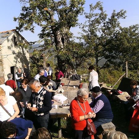Agriturismo La Casina 카프라스미켈란젤로 외부 사진