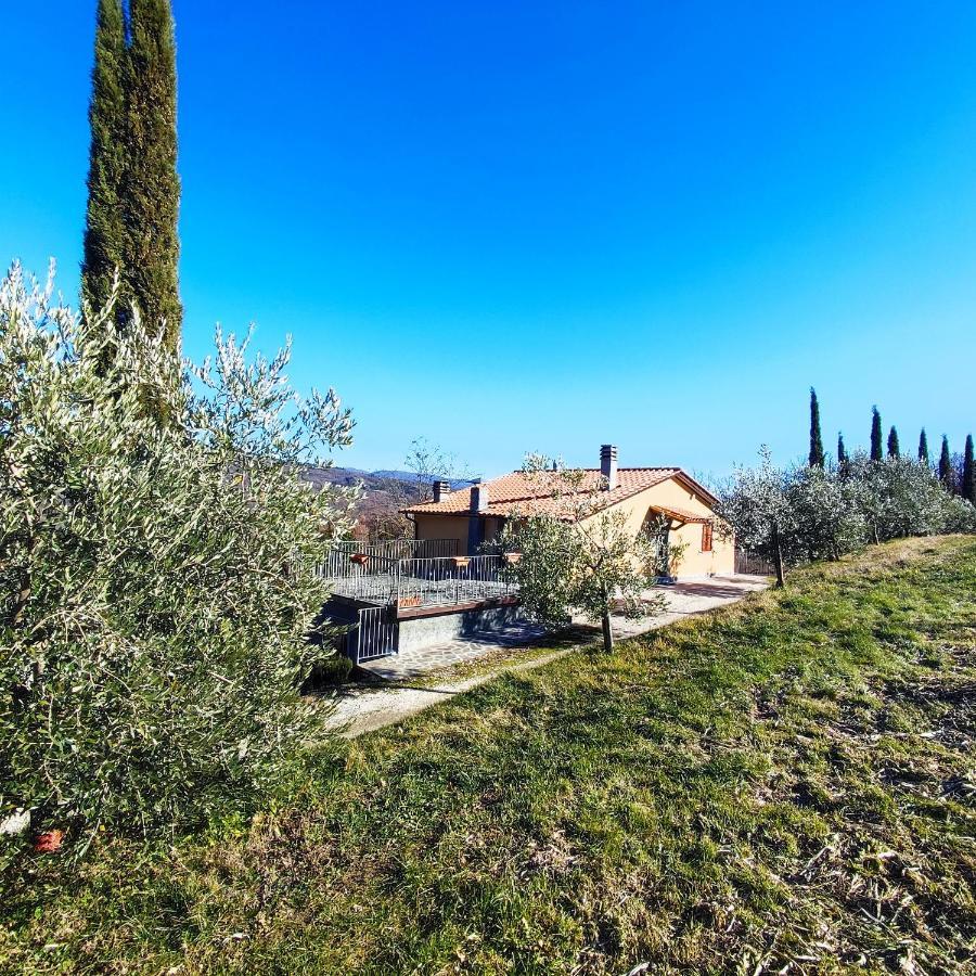 Agriturismo La Casina 카프라스미켈란젤로 외부 사진