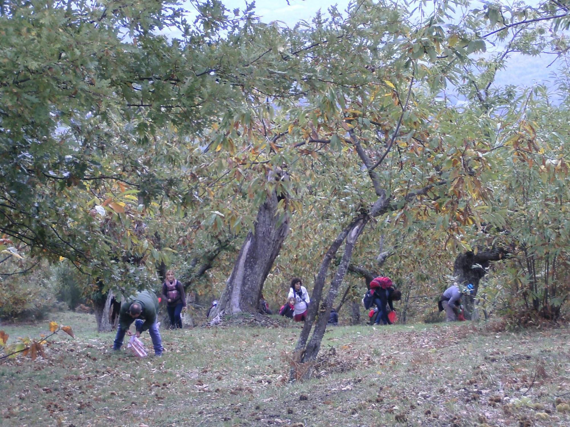 카프라스미켈란젤로 Agriturismo La Casina 빌라 외부 사진